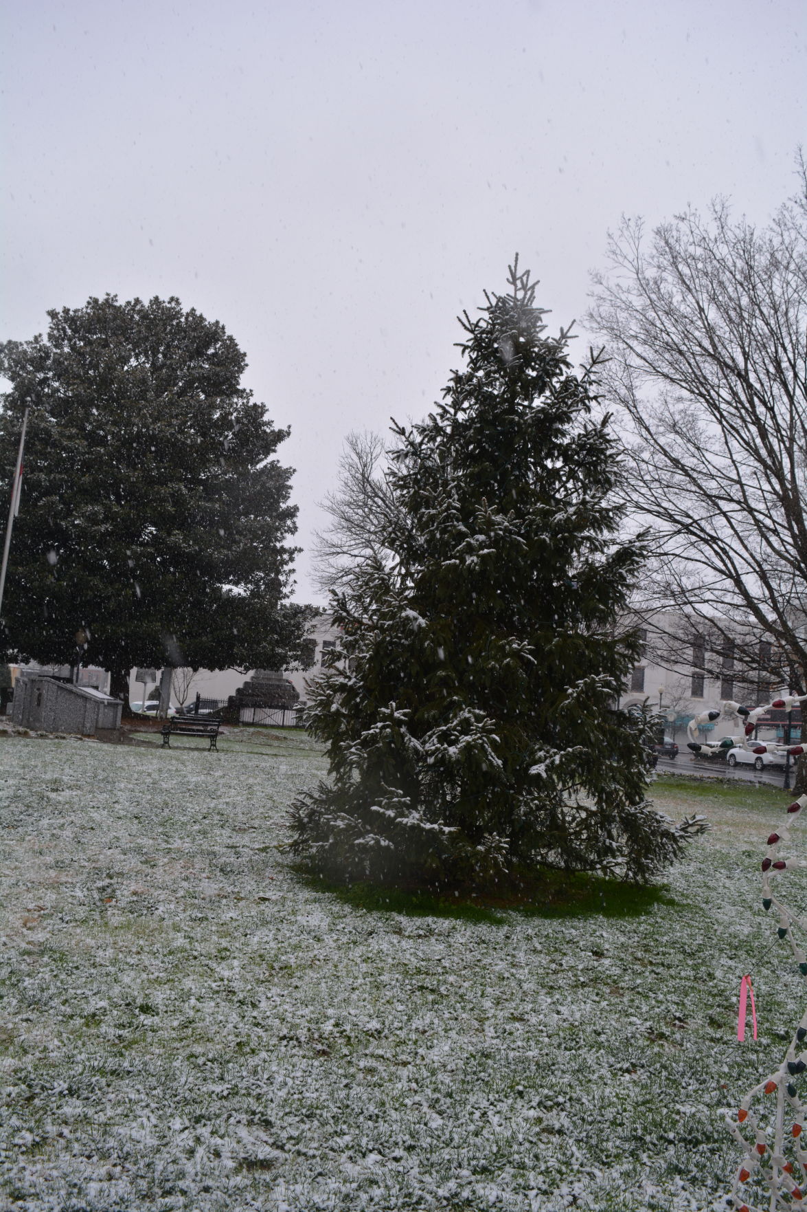 DSC_6726.jpg